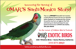 Omar's Exptic Pets Santa Monica
