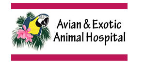 Avian and Exotic Animal Hospital