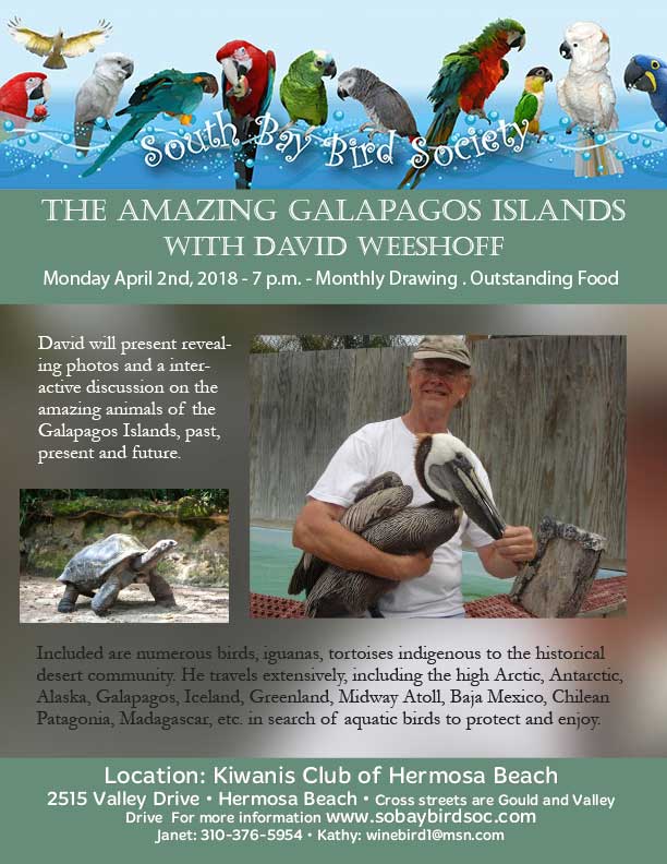 The Amazing Galapagos Islands with David Weeshoff 