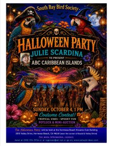 South Bay Bird Society Halloween Party With Julie Scardina Sunday, October 4, 2026 1:00 PM