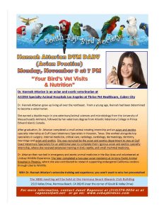 Monday, November 9 at 7 PM Hannah Attarian, DVM, DABV: Your Bird's Vet Visits & Nutrition